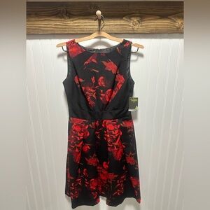 Taylor Floral sleeveless Black Red Dress Fit Flare dress nwt sz 4 valentines